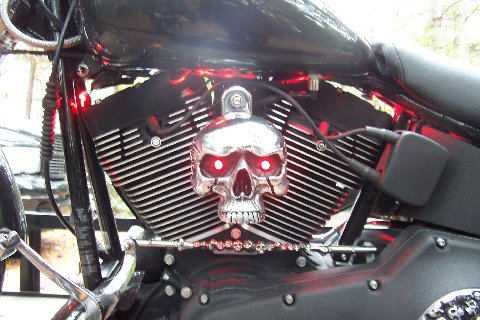 horn cover harley